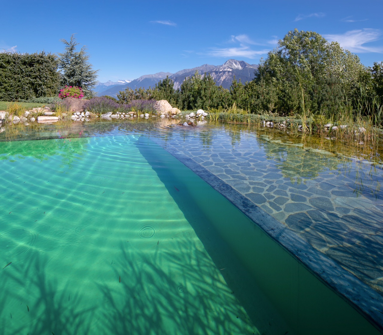 Tout sur la piscine écologique et les piscines naturelles